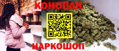 сатива Гатчина