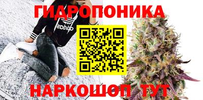 спайс Малгобек