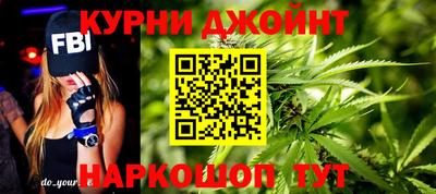 сатива Гатчина