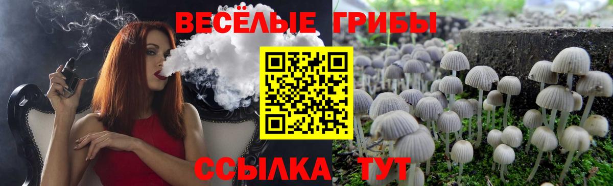 Псилоцибиновые грибы Psilocybine cubensis  Вход с VPN  Грозный  Галлюциногенные грибы ЛСД 
